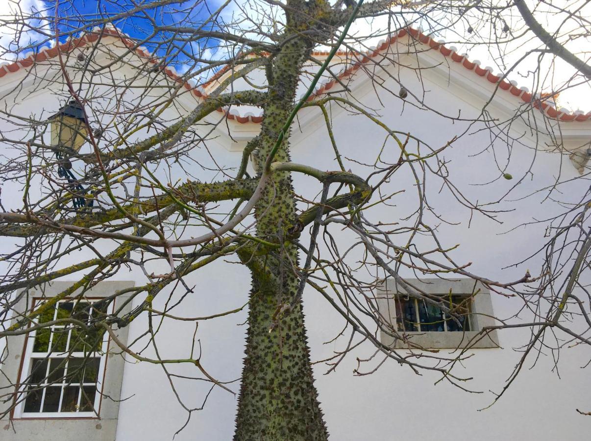 Hotel Ninho Salino Cascais Esterno foto